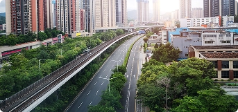 Silverian Mall carousel images